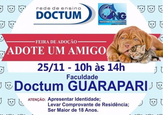 Guarapari recebe feira de adoção de animais neste sábado (25) 1 WhatsApp Image 2017 11 12 at 17.52.28