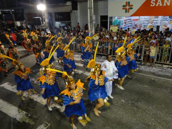 DSC05792 - Carnaval 2018: Escolas e blocos receberão verba através de empresa contratada