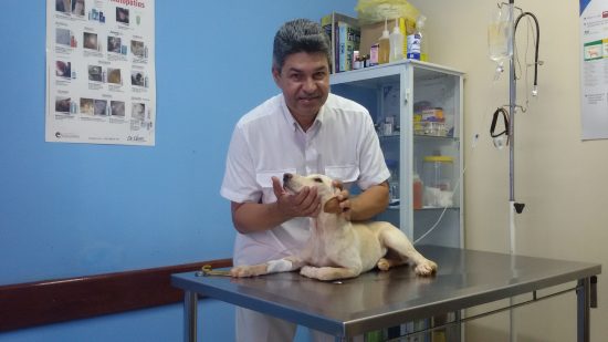 dr. fabio 1 2 - Tradicional clínica veterinária muda de nome e continua com a mesma excelência