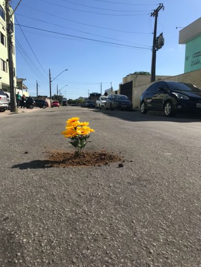 buraco flores3 - Protesto de jovens usa flores para tapar buracos das ruas de Guarapari
