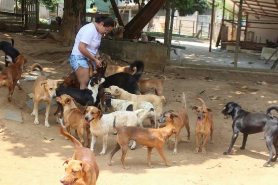WhatsApp Image 2018 06 01 at 11.50.29 2 - 130 cães podem ficar sem ração neste fim de semana em Guarapari