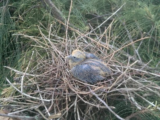 WhatsApp Image 2018 06 05 at 17.13.01 1