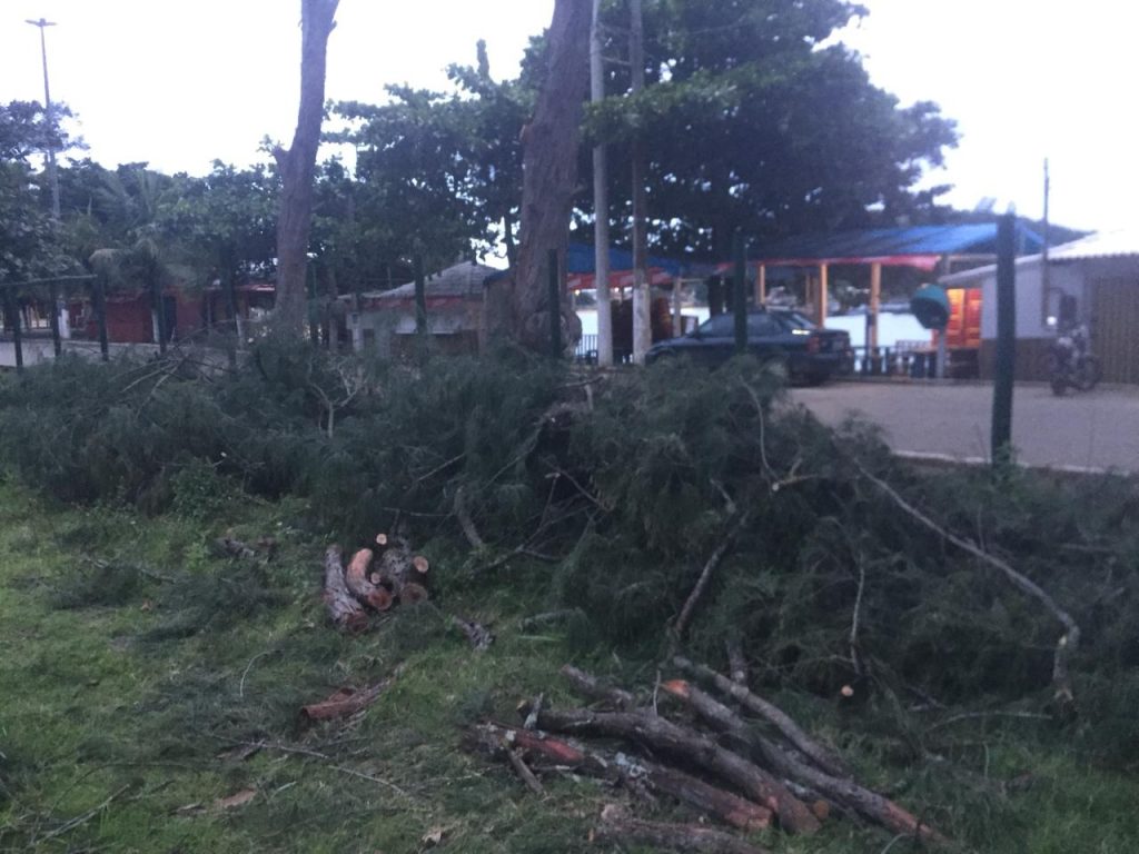 WhatsApp Image 2018 06 05 at 17.13.01 - Morador denuncia corte de árvores em área no bairro Setiba