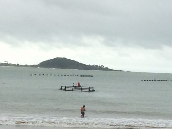 Fazenda marinha já é uma realidade em Guarapari 1 fazenda marinha 1