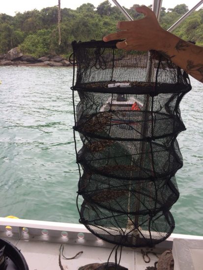 Fazenda marinha já é uma realidade em Guarapari 2 fazenda marinha 2