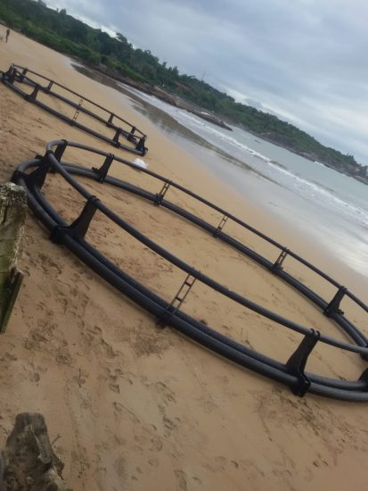 Fazenda marinha já é uma realidade em Guarapari 3 fazenda marinha 4