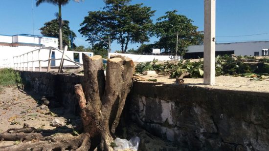 WhatsApp Image 2018 07 06 at 13.44.58 - Projeto de Lei quer impedir corte de árvores históricas em Guarapari