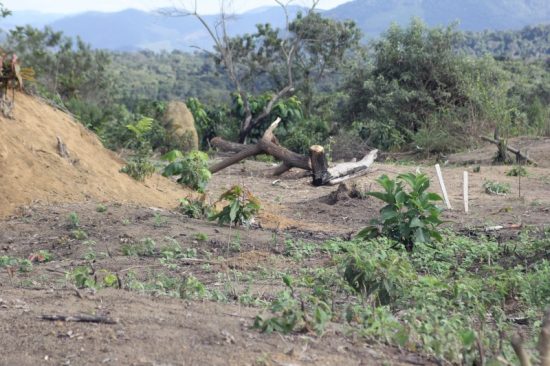 crimeambiental - Crime ambiental em Concha D’Ostra é constatado e três pessoas são apreendidas em Guarapari