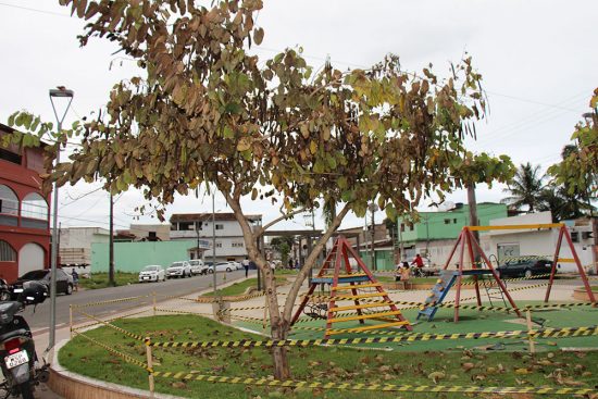 IMG 3648 - Veneno tóxico mata árvores na Rua da Marinha em Guarapari