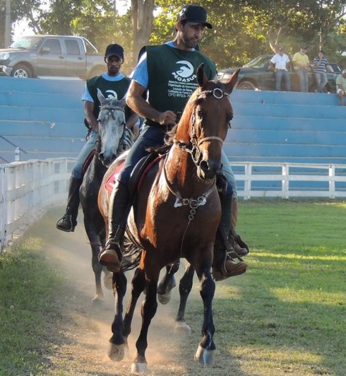 Copa Piuma - Alfredo Chaves se prepara para competição de marcha entre cavalos