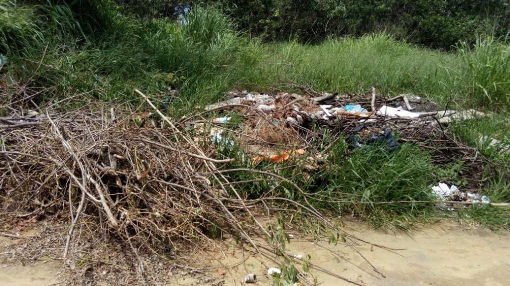 lixo terrenos meaípe 4 - Terrenos continuam servindo para depósito de lixo e entulho em Meaípe, Guarapari