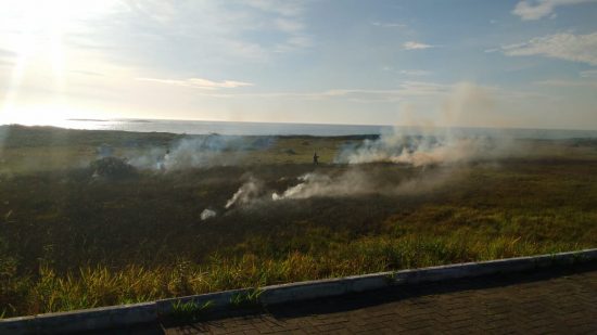 Fogo atinge vegetação na Praia do Riacho em Guarapari 1 incêndio vegetação praia do riacho 4