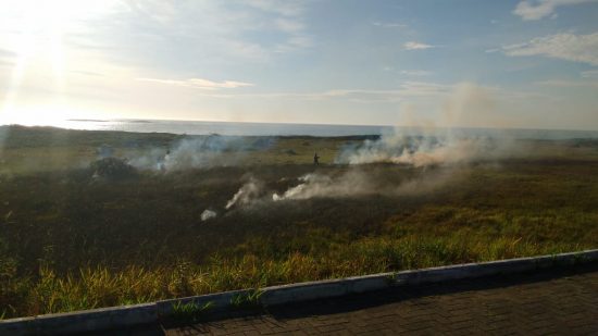 incêndio vegetação praia do riacho 4 - Fogo atinge vegetação na Praia do Riacho em Guarapari