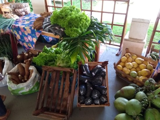 Programa Compra Direta de Alimentos é lançado nesta manhã (19) em Guarapari