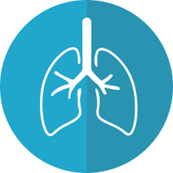 pulmão 1 - Dia Mundial da Tuberculose alerta sobre os riscos da doença que é uma das que mais matam no mundo