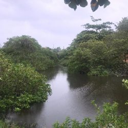 prefeitura inicia acoes para recuperacao do rio de meaipe - Guarapari prepara ações para recuperação do Rio de Meaípe