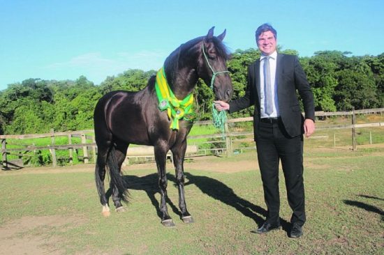 Cavalo de Guarapari avaliado em R$ 1 milhão disputa concurso