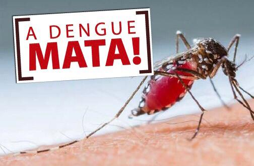 combate a dengue - Notificações da dengue são 20 vezes maiores no primeiro semestre deste ano em Guarapari