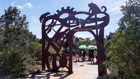 Parque paulo cesar vinha - Parque Paulo Cesar Vinha abre inscrições para oficina sobre educação ambiental em Guarapari