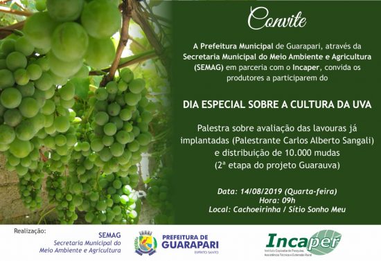 Uvas - Novas mudas de uva serão distribuídas para produtores rurais em Guarapari