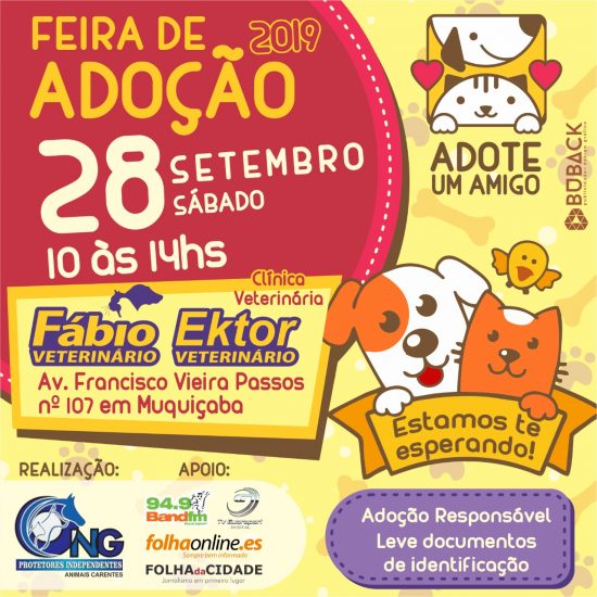 Adote um amigo: Feira de adoção de cães e gatos acontece amanhã (28) em Guarapari