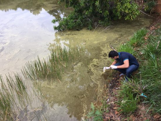 Denúncia: Lagoa do bairro Sol Nascente estaria recebendo resíduos químicos em Guarapari