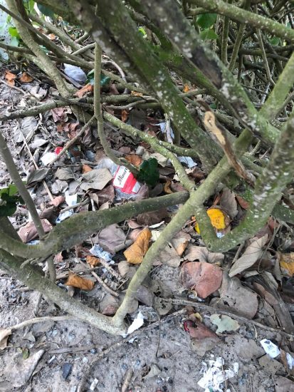mutiraocarlito - Instituto organiza segundo mutirão de limpeza das praias de Guarapari