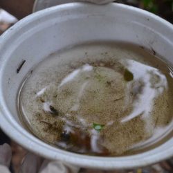 Bairros de Alfredo Chaves recebem mutirão de limpeza contra a dengue 2 alfredo chaves dengue capa