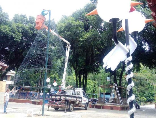 árvore natal alfredo