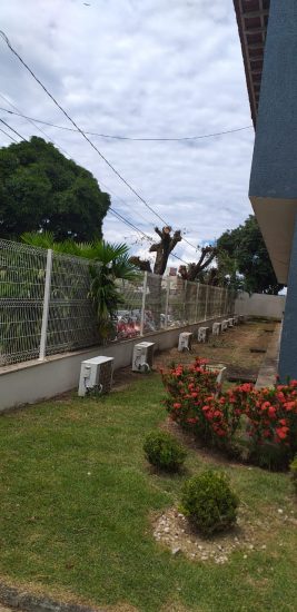 cortearvore1 - Poda de árvores na entrada da Prefeitura de Guarapari provoca questionamentos
