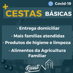 Covid Cestas - Coronavírus: vereador solicita entrega domiciliar de cestas básicas em Anchieta