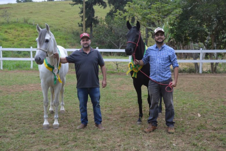 leilãocavalo - Leilões on-line salvam o mercado de cavalos em Guarapari