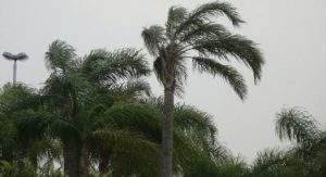 ciclone - Ciclone subtropical provoca ventania no litoral do Espírito Santo