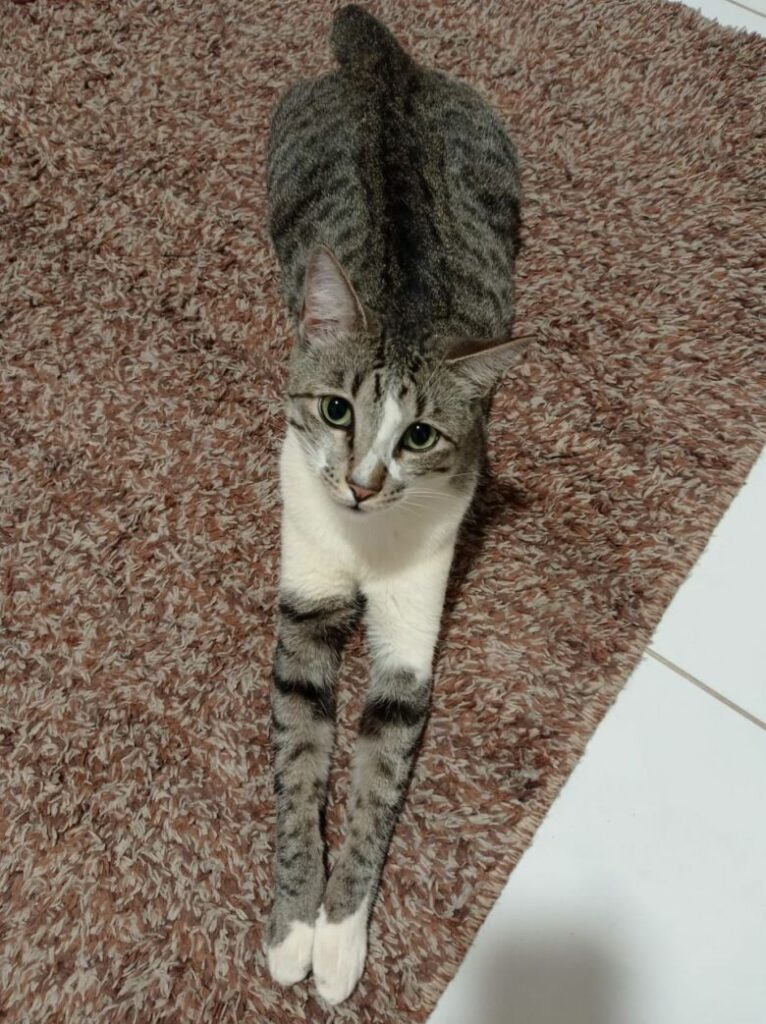 WhatsApp Image 2020 09 25 at 16.16.11 1