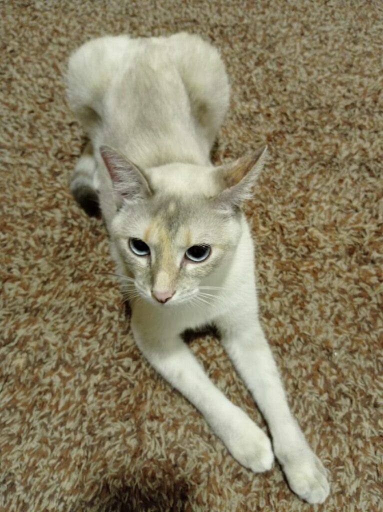 WhatsApp Image 2020 09 25 at 16.16.11 2