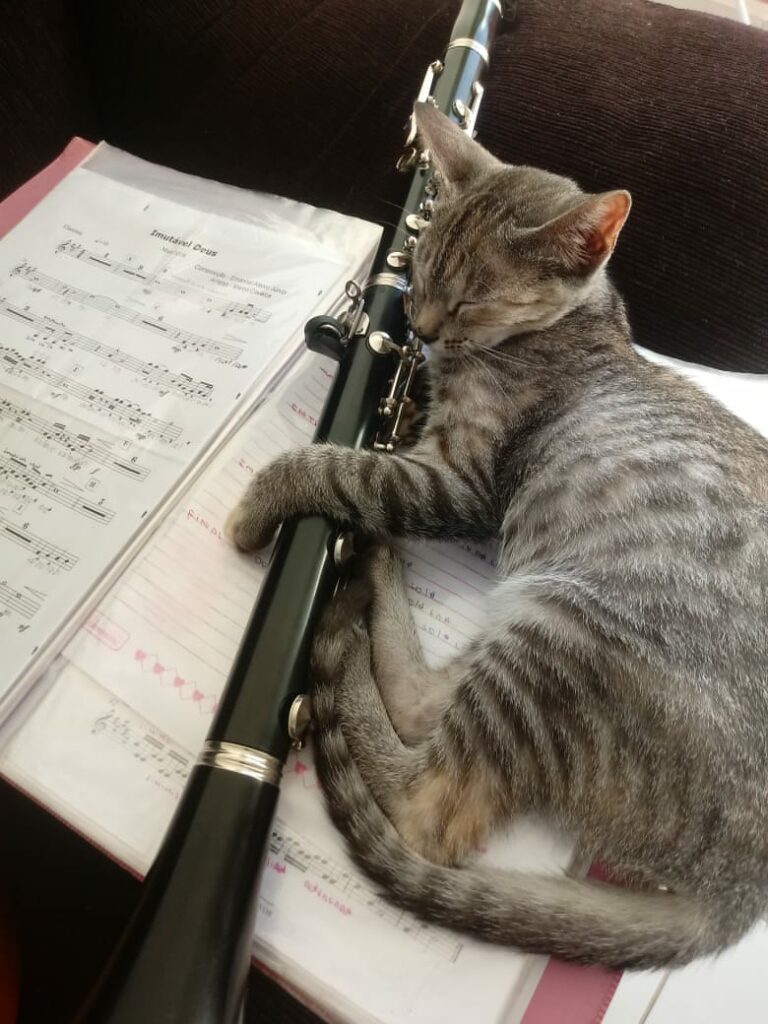 cb6d1d80 cac7 482a 9a8d 1f3c523e8d3f