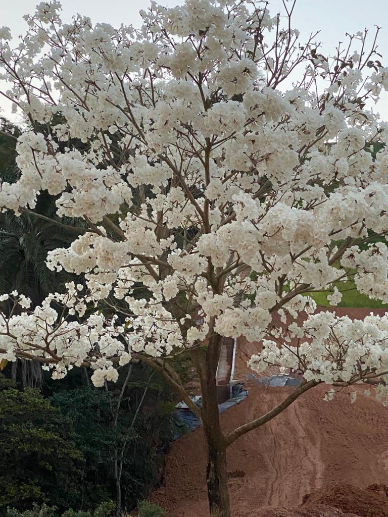 WhatsApp Image 2020 10 07 at 16.55.54 1