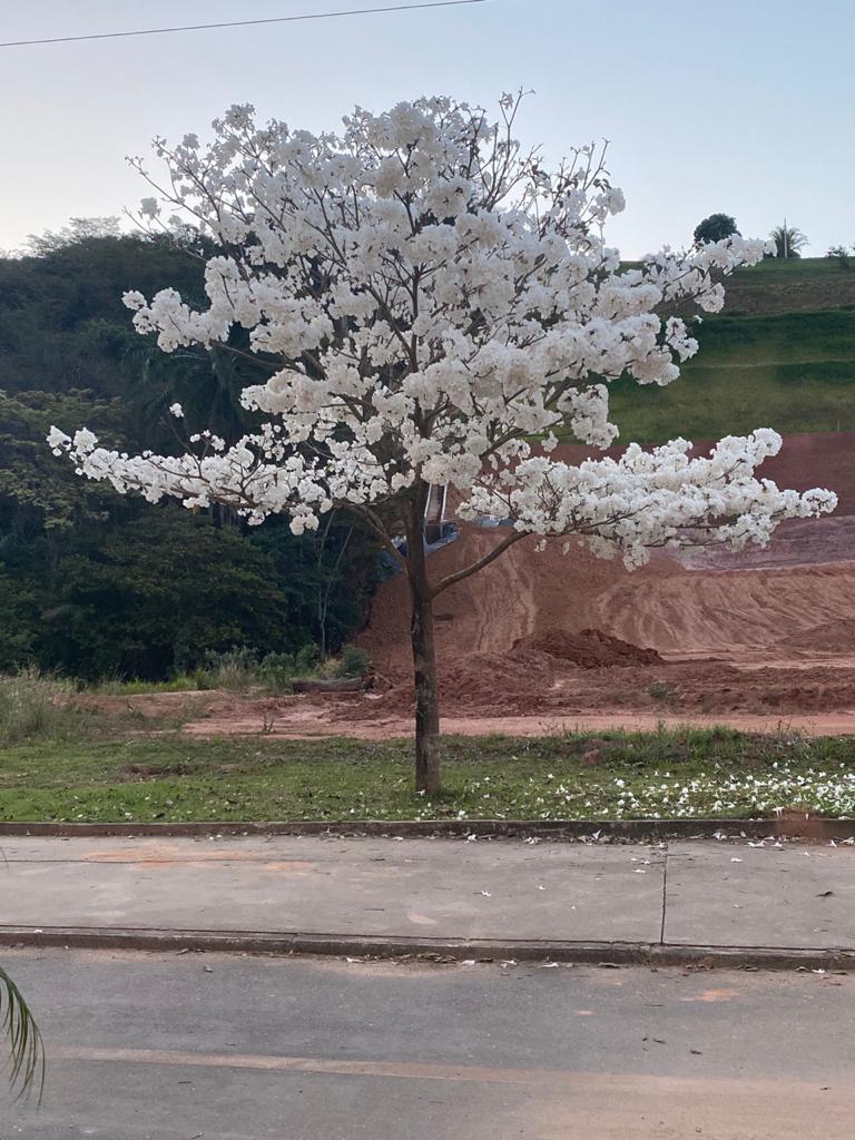 WhatsApp Image 2020 10 07 at 16.55.54