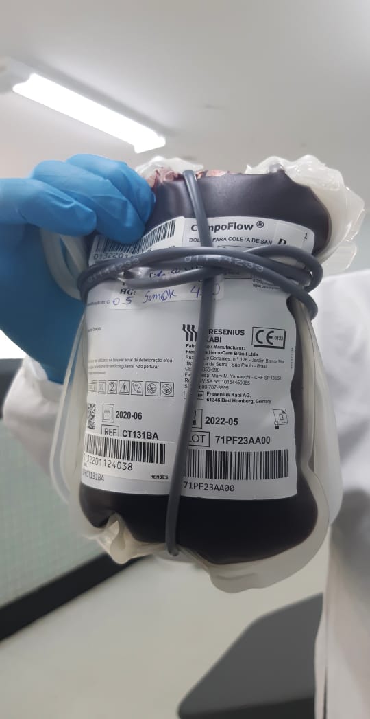 HIFA Guarapari cria campanha de doação de sangue entre os funcionários