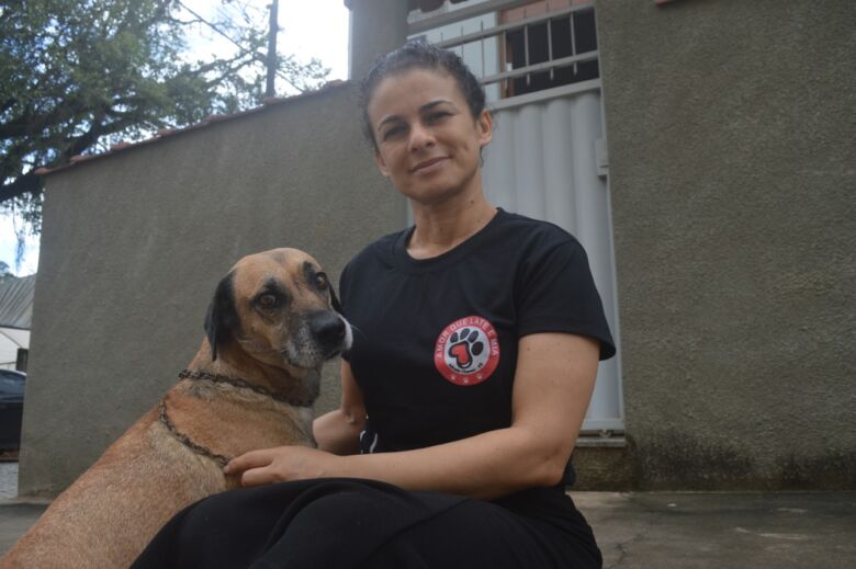 Moradores de Alfredo Chaves se unem e bancam tratamento de 100 animais abandonados