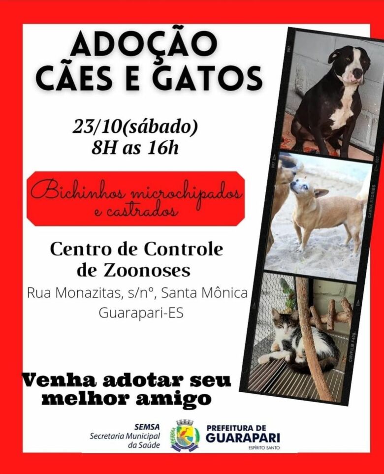 prefeituradeguarapari 246856144 304149511222652 4490905307838349759 n - Ação para adoção e vacinação de animais em Guarapari neste sábado (23)