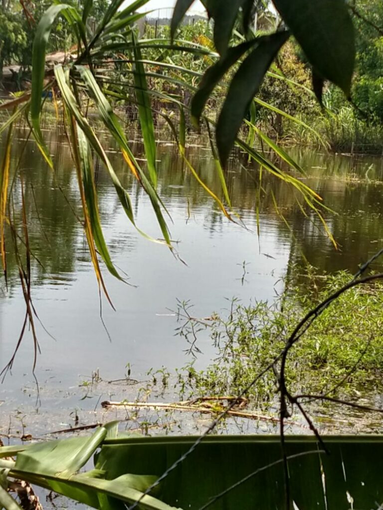 alagamento setiba 20212 1