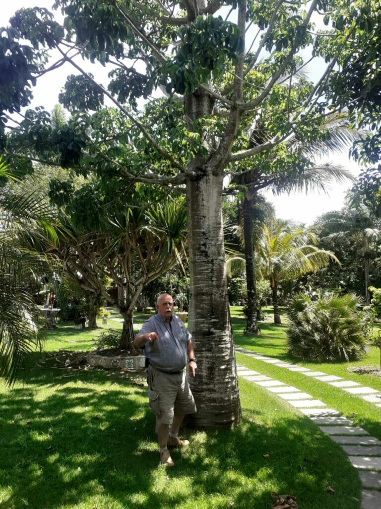 Artigo: Nova Guarapari dando boas lições na antiga Guarapari 3 WhatsApp Image 2022 01 07 at 1.58.49 PM