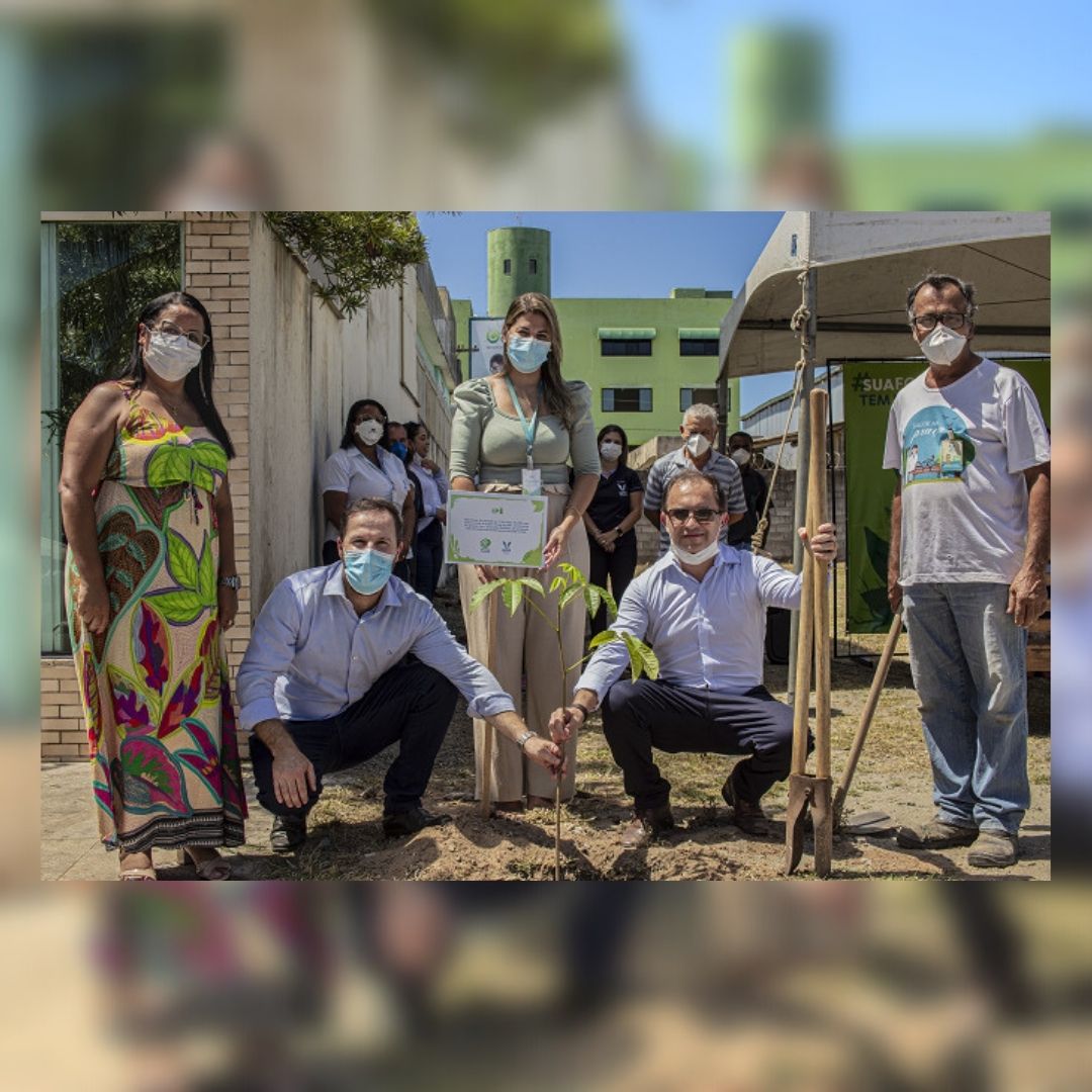 Plantio de árvores e distribuição de mudas marcam início do projeto do HIFA Guarapari