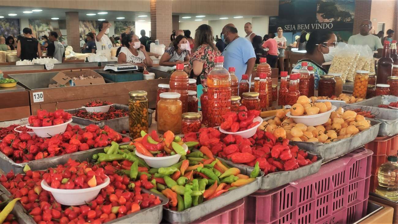 Mercado do Produtor Rural de Guarapari tem avaliações positivas, meses após funcionamento
