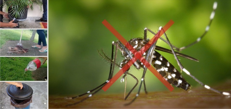Alerta Dengue: ES já registrou mais de 4.600 casos neste ano; Guarapari tem nove confirmados