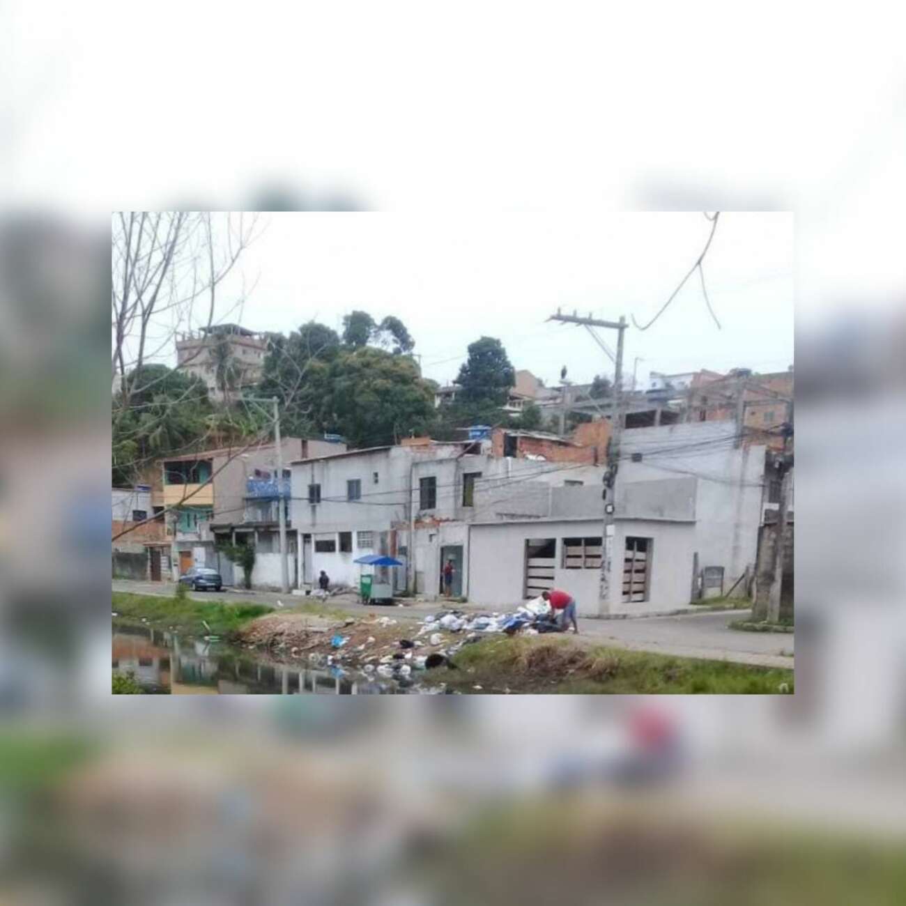 Mutirão realizará limpeza de manguezal em Guarapari