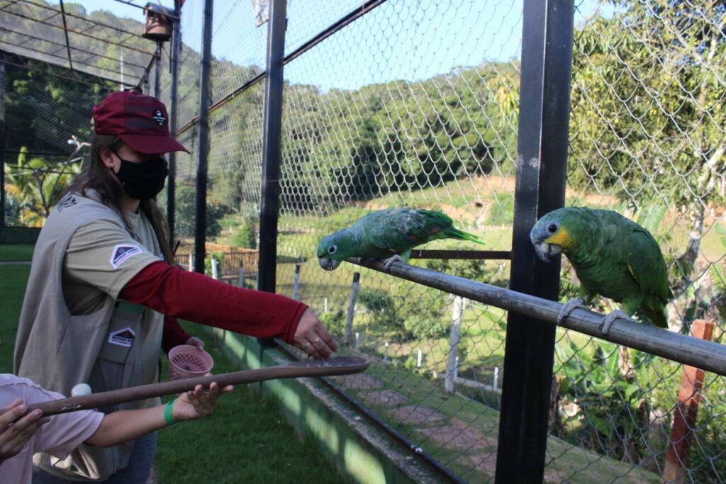 Bioparque das Aves, em Domingos Martins, amplia atendimento durante a semana de férias escolares