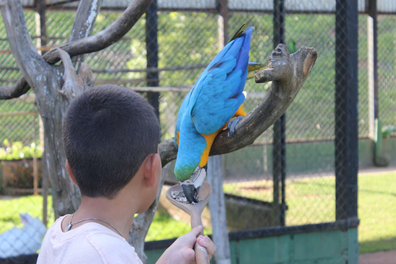 Bioparque das Aves, em Domingos Martins, amplia atendimento durante a semana de férias escolares