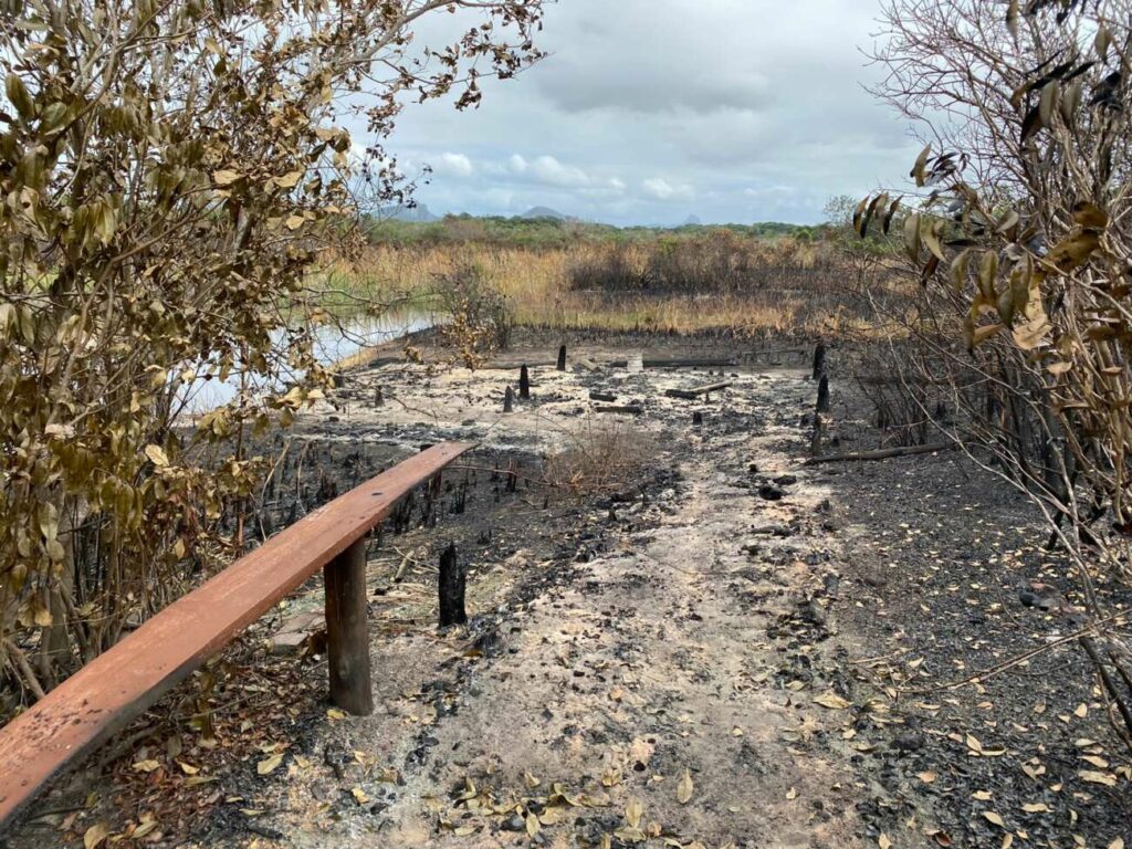 Imagens mostram devastação causada por incêndio no Parque Paulo César Vinha, em Guarapari